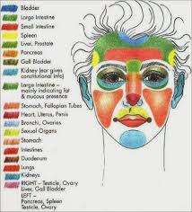 Pin By Rita Nakabayashi On Body And Pressure Points Cheek Acne Reflexology Face Mapping