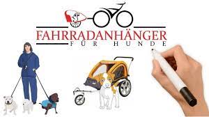fahrradanhanger fur hunde vorteile nutzen im uberblick fahrradanhanger hund hunde hund fahrrad