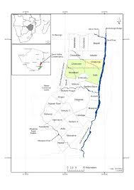 Image result for Streptopetalum serratum