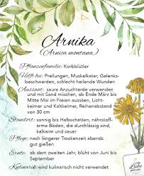 Pin Von Ll Koler Auf Flores Flowers Blumen Hausapotheke Krauterpflanzen Pflanzen