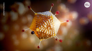 Click here to refresh the page. Covid Vaccine From Moderna Pfizer Astrazeneca What S The Difference