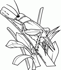 Print 100 best coloring pages for free. Insect Coloring Pages Free Coloring Home