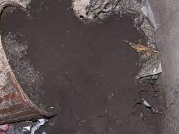 Ridding carpets of ash shouldn't be a difficult task with the below steps. How To Remove Soot From Carpet Restorationmaster Finder