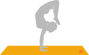 What Is Scorpion Handstand Definition From Yogapedia Handstand Scorpion Pose Inversions