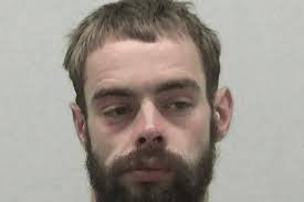 Predator' had sex with a schoolgirl in South Tyneside while her parents  searched the streets for her