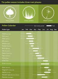 Pin On Health