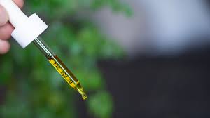 111mg of cbg per qiwi. Is Cbg The Next Cbd Doctors Weigh In On The Mother Of All Cannabinoids