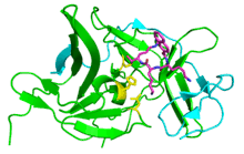 Mosquitoes get infected and carry the virus after biting infected birds. West Nile Virus Wikipedia