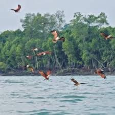 85 likes · 1 talking about this · 11 were here. Sky Mirror Kuala Selangor 2021 With Tips For Photos What To Expect