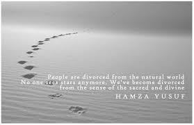 Hamza Yusuf Quote Likeable Quotes Rainy Sunday Quotes Welfare Quotes