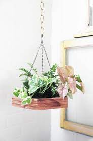 Hanging Houseplants Photographs Of Hanging Baskets Beautiful In Home Design Small Indoor Plants Diy Hanging Planter Hanging Plants