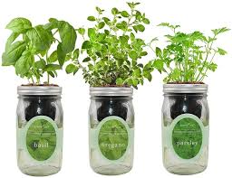 How To Build An Indoor Herb Garden Diy Container Gardening Beesandroses Com