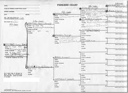 The Ancestry Insider Ancestral File Tree View