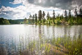 Bei einem großen land wie schweden fällt es schwer, einzelne reiseziele auszuwählen, reiserouten festzulegen oder sich für eine bestimmte urlaubsregion zu entscheiden. Ein Ferienhaus In Schweden Mit Boot Ferienhaus Schweden