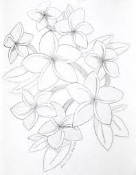 Check Out This Item In My Etsy Shop Https Www Etsy Com Listing 601162658 Hibiscus Drawing Hibiscus Sketch Flower Drawing Hibiscus Drawing Roses Drawing