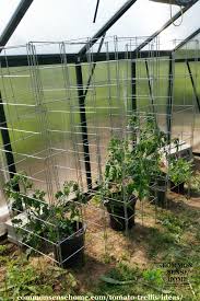 Here's my simple system for making a 3 or 4 legged tepee from bamboo stakes in around a minute for less than $1! 5 Terrific Tomato Trellis Ideas For Easy Harvesting