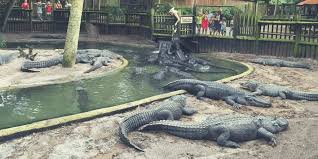 George street, #2 castillo de san marcos national monument and more. 17 Exciting Things To Do In St Augustine With Kids