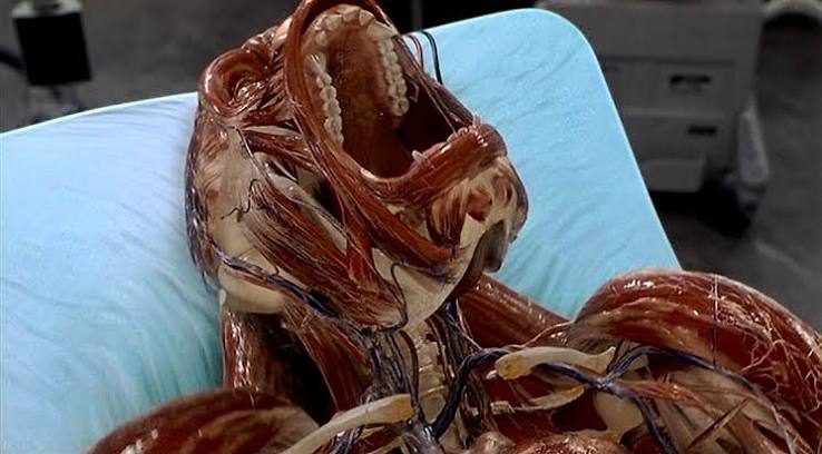 2000 – Hollow Man – Academy Award Best Picture Winners