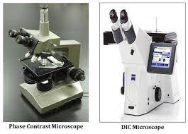 Difference Between Phase Contrast And Dic Microscope Easybiologyclass Contrast Microscope Biology Class