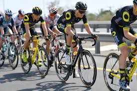 Service enabling direct submission of multiple payment orders by the licenced customers of bkr authentication service for customers and their users for access to giro's own services and its. Terpstra On Track For A New Classics Adventure With Direct Energie Cycling