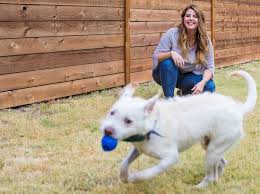 The top countries of suppliers are india, china, and malaysia. Meet The Woman Behind Wondercide S Safe Pest Protection For Pets