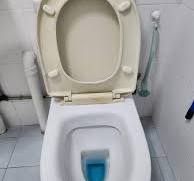 Como faço para substituir esta tampa de vaso sanitário? : r/DIY