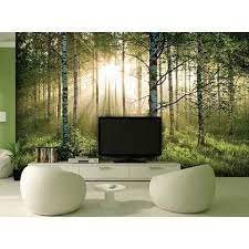 fotobehang berkenbos 366 x 253 cm groen fotobehang fotobehang woonkamer slaapkamer fotobehang