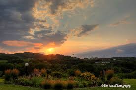 Image result for Red Marina 1993 UMM