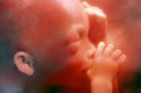 Det er ganske vanlig å ha litt smerter i magen når man er gravid uten at dette betyr at det er noe galt. Fosterets Utvikling Menneskeverd