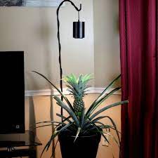 450w waterproof led grow light, bozily heat lamp outdoor for plants, full spectrum outdoor grow lights, cob led grow light with fast heat dissipation, refugium light for seeding, veg, blooming 61 $61 99 World S First Led Decor Grow Light That Turns Your Plants Into Show Pieces Adding Beauty And Foliage Modern Lamp Shades Lamp Shade Crafts Colorful Lamp Shades