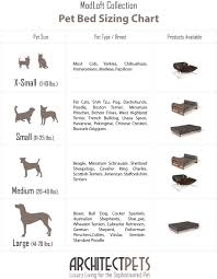 Dog Bed Size Chart Dog Beds Gallery Images And Wallpapers