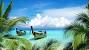 Low Maintenance Tropical Landscaping