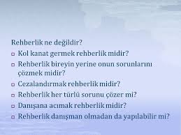 Rehberligin Amaci Ve Egitimdeki Yeri Ppt Indir