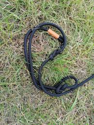 Wilder Hund Hundeleinenset Pablo im Outdoortest