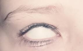White Eyed Demon White Eyes Demon Aesthetic Aesthetic Eyes