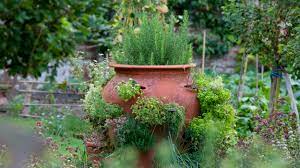 Maybe you would like to learn more about one of these? Herb Garden Planting Ideas And Advice On How To Grow Herbs Real Homes