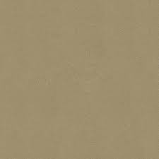 Image result for Desert Gold 1961 Ford