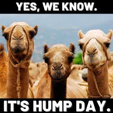Harassing content is usually removed within less than 48 hours. 20 Hump Day Memes To Help You Laugh Thru Wednesday Digital Mom Blog