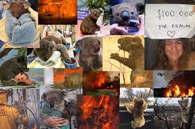 Maybe you would like to learn more about one of these? A Personal Project Bushfires 2020 Kara Rosenlund