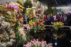 Home Garden And Landscape Shows Home Garden Buffalospree Com