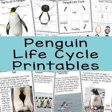 He serves currently as the editor of earth and life sciences, covering climatology, geology, zoology, and. Penguin Life Cycle Fun With Mama