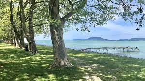 We did not find results for: Liste Der Kostenlosen Strande Rund Um Den Balaton 2020 Wunderbarerbalaton De
