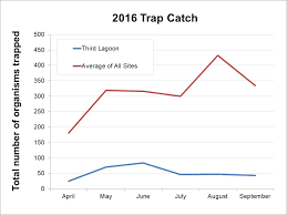 May 20, 2019 · pubic lice (crabs std) pubic lice are colloquially known as crabs. this name refers to the shape of these parasites, which is different from that of body lice. Early Detection Of European Green Crab In Washington S Salish Sea U S National Park Service