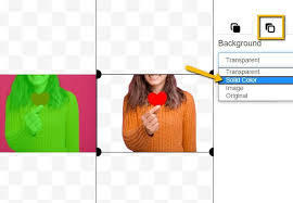 Buydirect.com has been visited by 100k+ users in the past month Best 10 Online Photo Editors Change Background Color To White