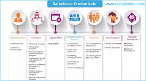 Salesforce Career Path For Beginners Different Job Roles