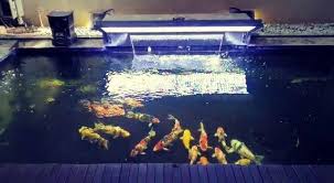 Dry Led Custom Done Lampu Tanning 600w Untuk Kolam
