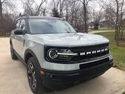 A Cactus Gray in its natural habitat.