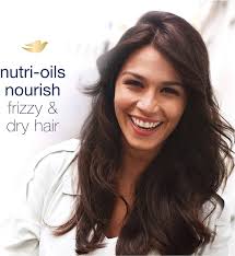 Dove Nutritive Solutions Dry Hair Conditioner for Frizzy Control Oil  Therapy with Nutri-Oils Moisturizing Conditioner Formula Smooths Hair 12  oz, 4 Count