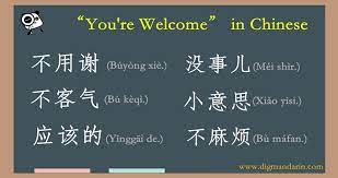 Thank you is the equivalent to 多謝 in cantonese chinese, and i'm pretty sure you've heard it many times before already. 8 Ways To Say You Are Welcome In Chinese