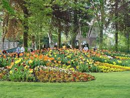 While a large shade tree can add a regal touch to your front yard landscaping, the subtle pop from a colorful tree, such as a japanese maple, will offer a bright focal point in your yard. Landscape Berms Mounds Landscaping Network